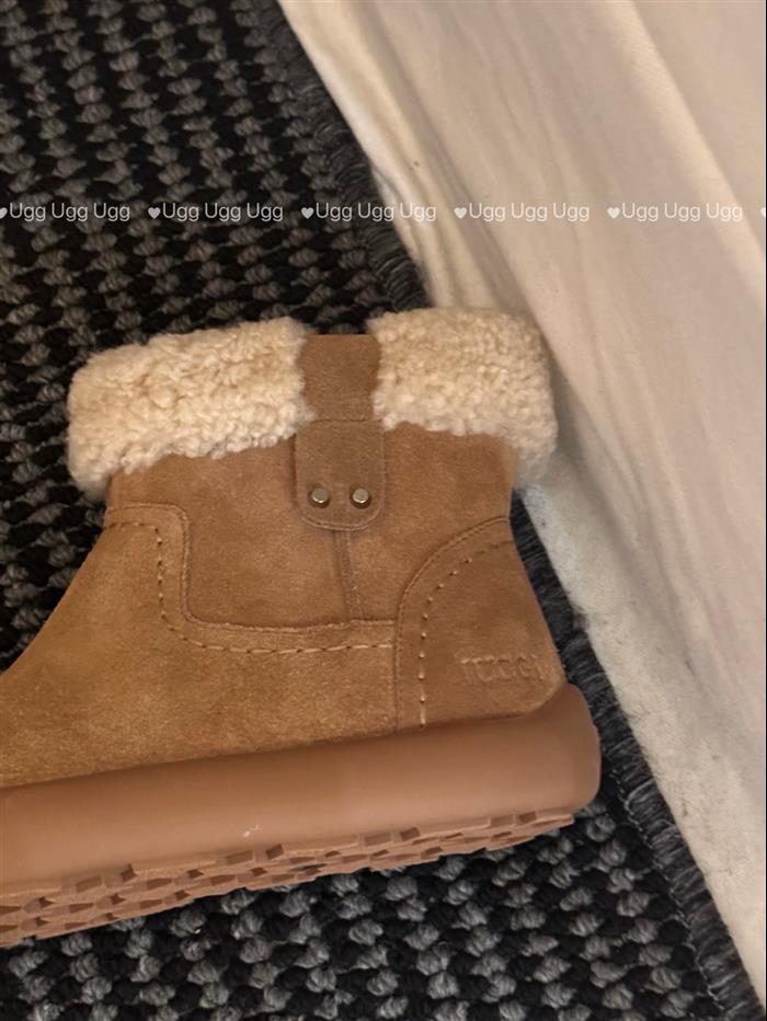 20251128164953580 310